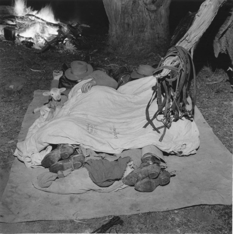 bedmates-little-topar-new-south-wales1956