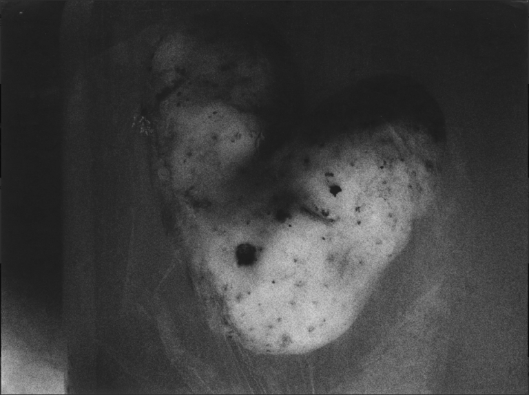 bulves-ii-potatoes-ii-1996-29x39-cm