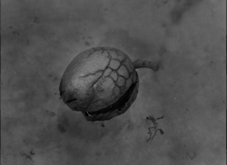 elados-ilgesys-longing-for-ellada-1996-13x18-cm