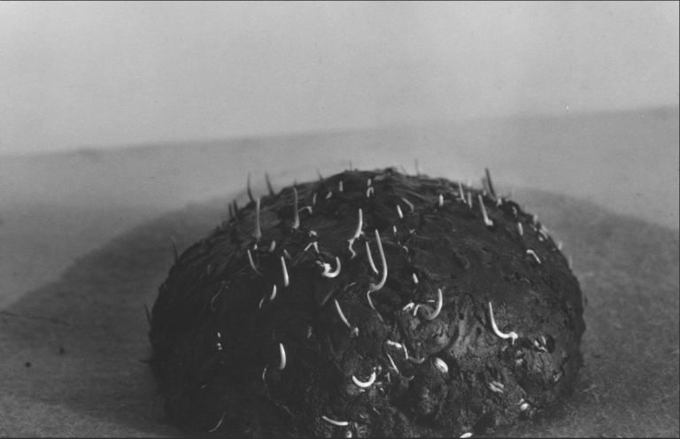 kai-ateina-juodos-mintys-ii-when-dark-thoughts-come-ii-1992-24x36-cm