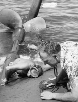 screen-shot-2016-10-11-at-11-52-10-am