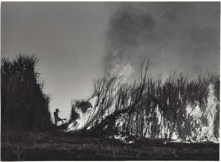 screen-shot-2016-10-25-at-2-28-57-pm