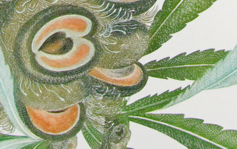 Screen Shot 2016-11-30 at 12.44.53 pm.png