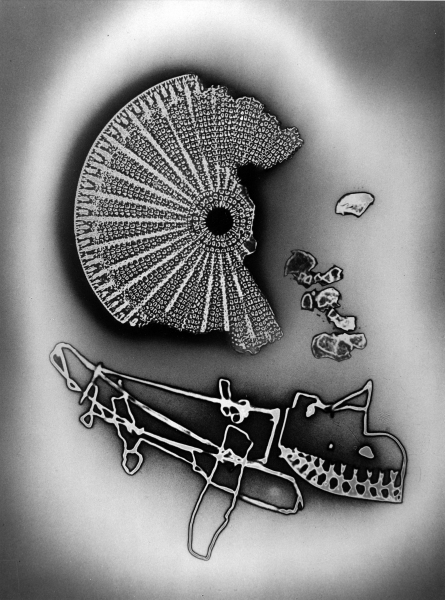 carl-struwe-finale-other-title-end-time-melancholy-1959-gelatin-silver-print-24h-x-18-01w-cm