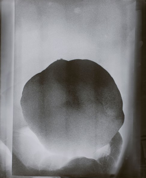 doerte-eissfeldt-schneeball-a-19882009