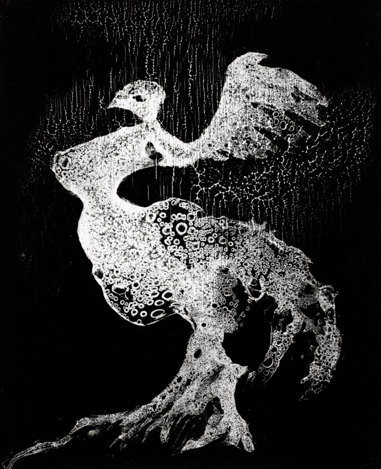 heinz-hajek-halke-die-flugelmutter-1954-gelatin-silver-print-ferrotyped-292-x-24-cm