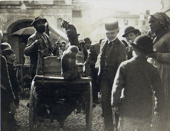 man-with-monkey-varallo-via-nazario-sauro-25-13019-varallo-sesia-province-of-vercelli-italy-7-september-1891