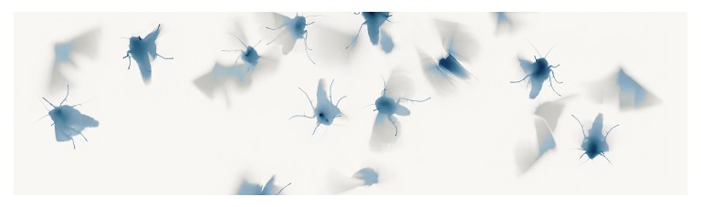 moth-liturgy-1-2016-pigment-ink-jet-print-on-archival-rag-paper-image-54-x-198-cm