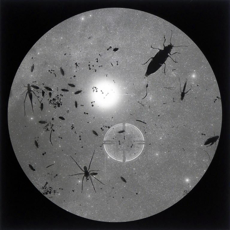 syzygy-21beta-centauri-triptych-2016-three-toned-gelatin-silver-films-each-mounted-on-a-starphire-glass-pane-with-screen-printed-circular-mask-on-opposite-face-each-glassfilm-pane-335-x-355-x-4-mm