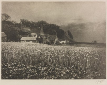 the-onion-field-mersea-island-essex-1890-george-davison-the-royal-photographic-society-collection-national-media-museum-bradford-sspl-creative-commons-by-nc-sa