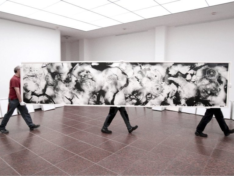 vkb_hajekhalke_05-800x600