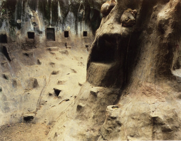 baboons-arnhem-netherlands-1989