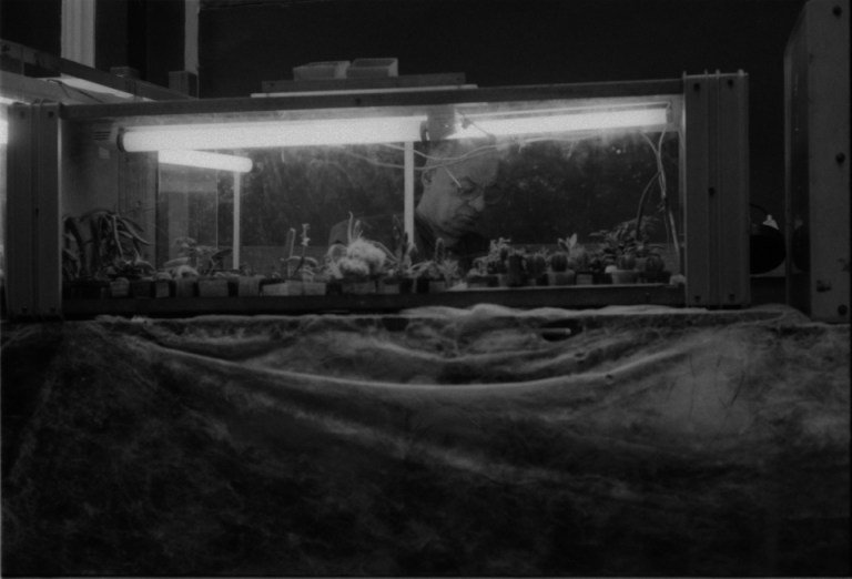 cactus-seller-01-2009-photograph-lightbox-36-x-51-x-8-cm-ed-2_3-2ap