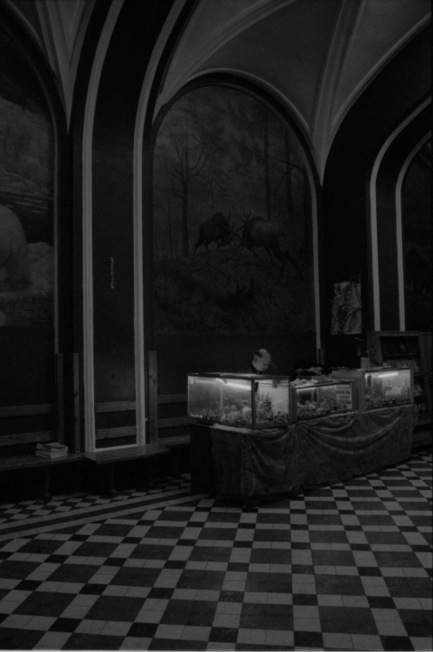 cactus-seller-05-2009-photograph-lightbox-51-x-36-x-8-cm-ed-2_3-2ap