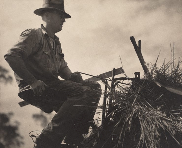 keast-burke-new-zealand-australia-1896-1974-mulga-oats