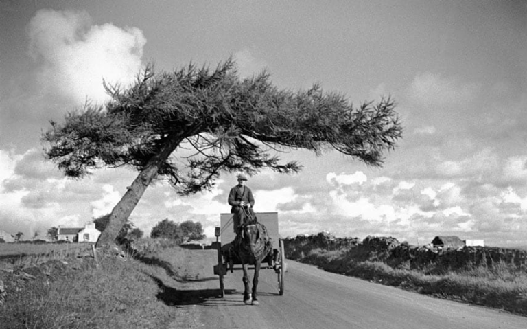 man-on-cart-under-tree-frenchpark-co-roscommon-october-1934