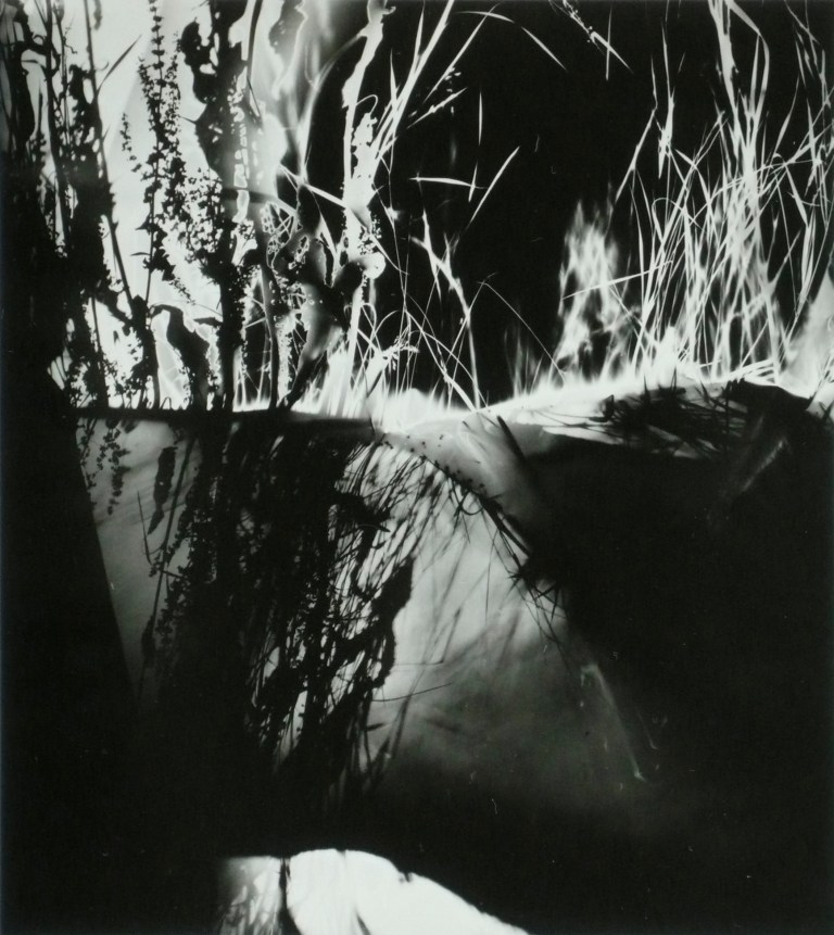 neusuess-nachtbild039-1991-fotogramm