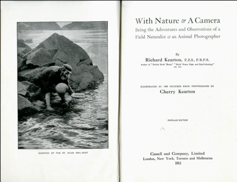 Screen Shot 2017-01-02 at 5.15.47 pm.png