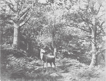 screen-shot-2017-01-13-at-10-22-30-am