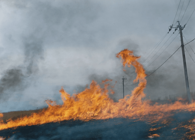 screen-shot-2017-01-19-at-10-48-16-pm