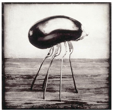 screen-shot-2017-01-19-at-3-06-51-pm