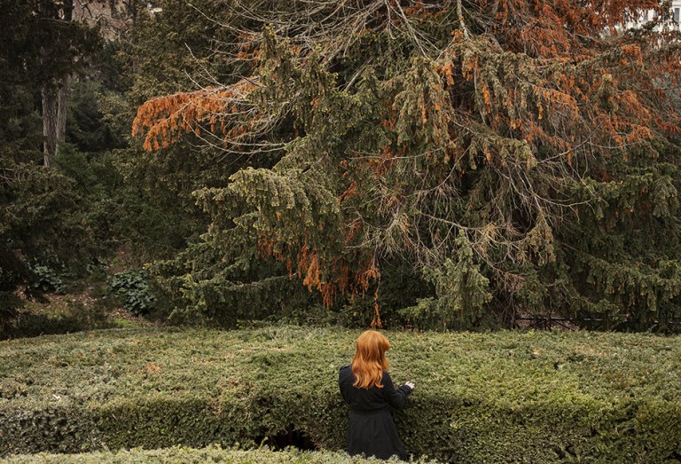 in-the-park-february-2013-pigment-print-framed-305-x-42-cm