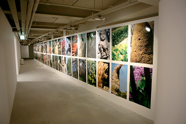 kirikae-takuma-nakahira