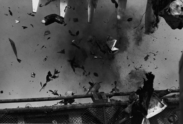 masahisa-fukase-title-dream-island-tokyo-from-the-series-solitude-of-ravens-year-1980