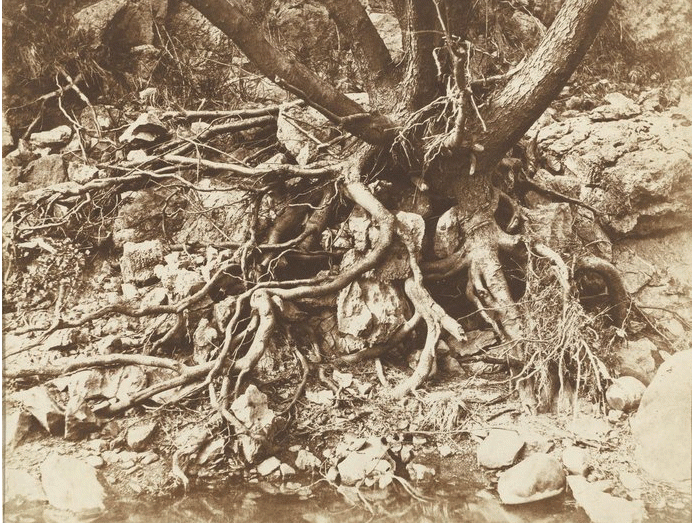 screen-shot-2017-02-05-at-3-12-23-pm