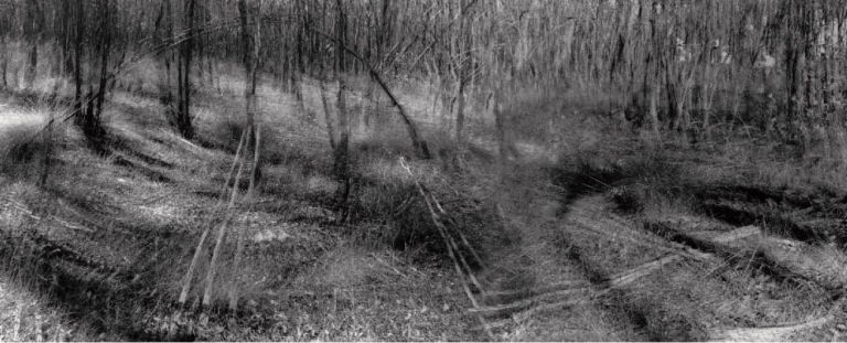 screen-shot-2017-02-06-at-5-11-57-pm