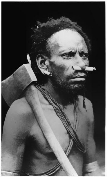 screen-shot-2017-02-08-at-11-02-11-pm