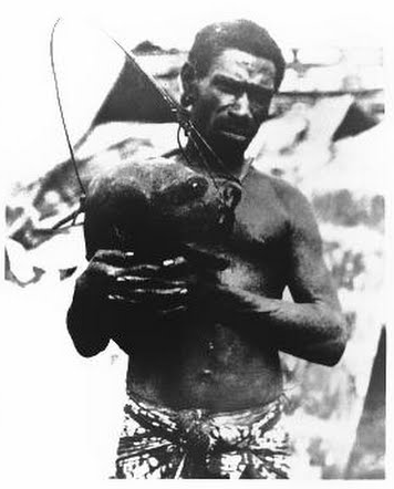 screen-shot-2017-02-08-at-9-43-46-pm