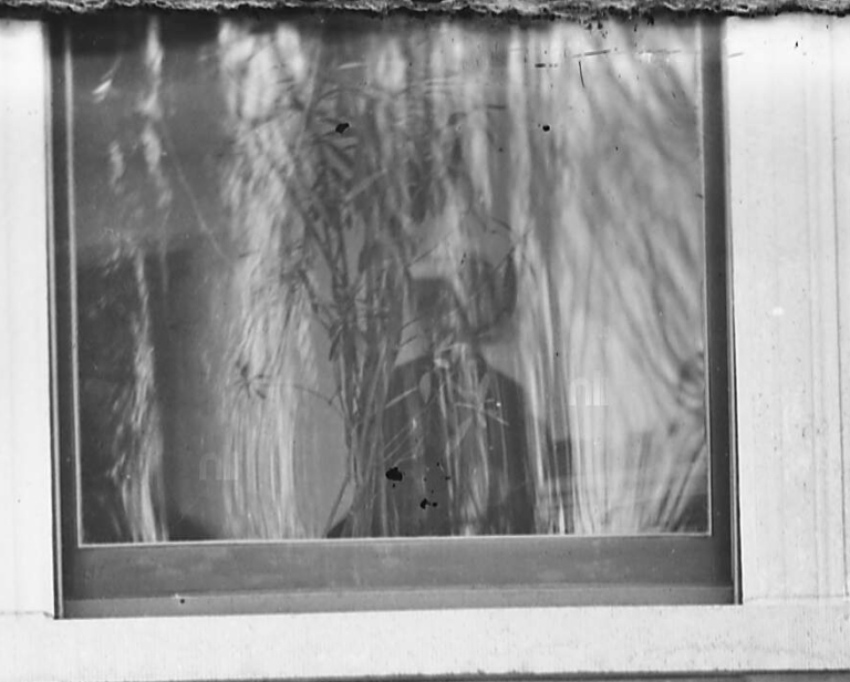 screen-shot-2017-02-20-at-10-55-42-pm