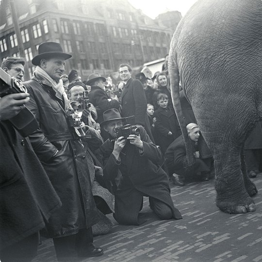 Olifant van Circus Strassburger wordt op de Dam gefotografeerd, Amsterdam 1948