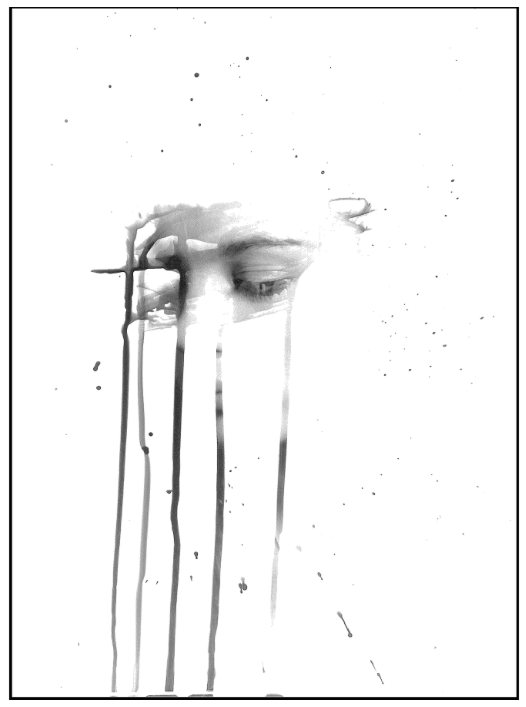 screen-shot-2017-03-04-at-9-15-16-pm