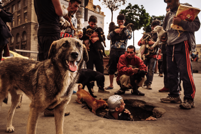 Screen Shot 2017-03-16 at 2.47.30 pm