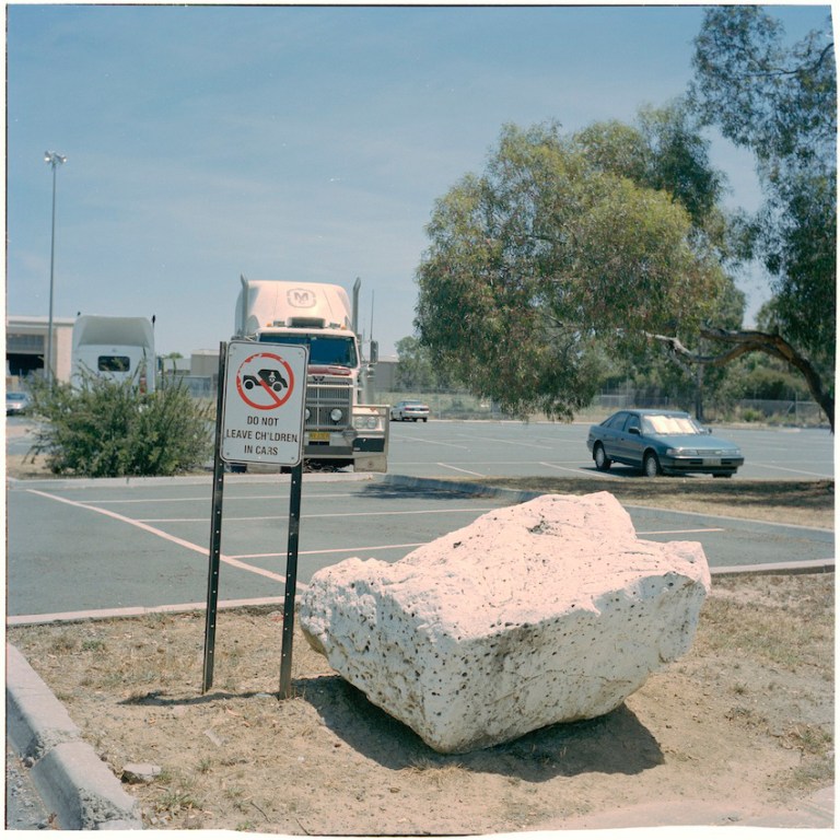 sloggett_saddest_plant_08