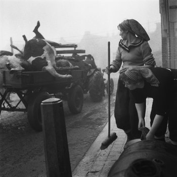 Voluntary aid convoy to the siding in Old and New Tonge after flood, Zeeland 1953