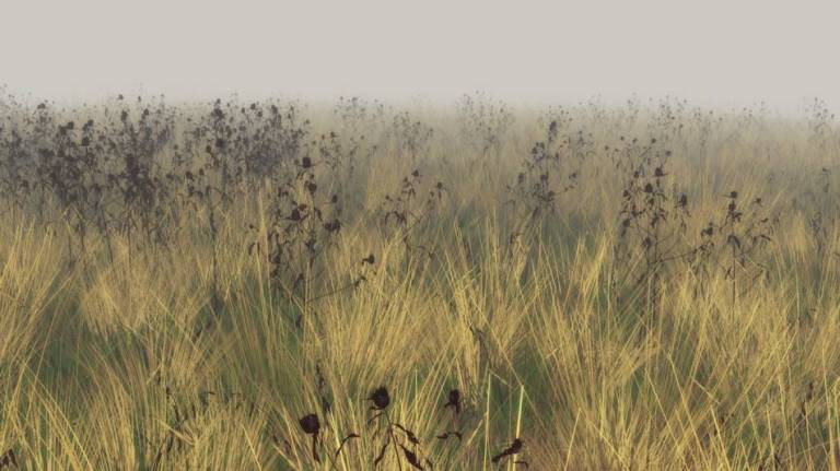 Eelco Brand, Videostill MV.movi, 2017, HD. edition 6