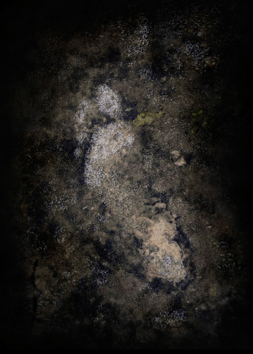 Natura facit saltus - Fortgang, 2016