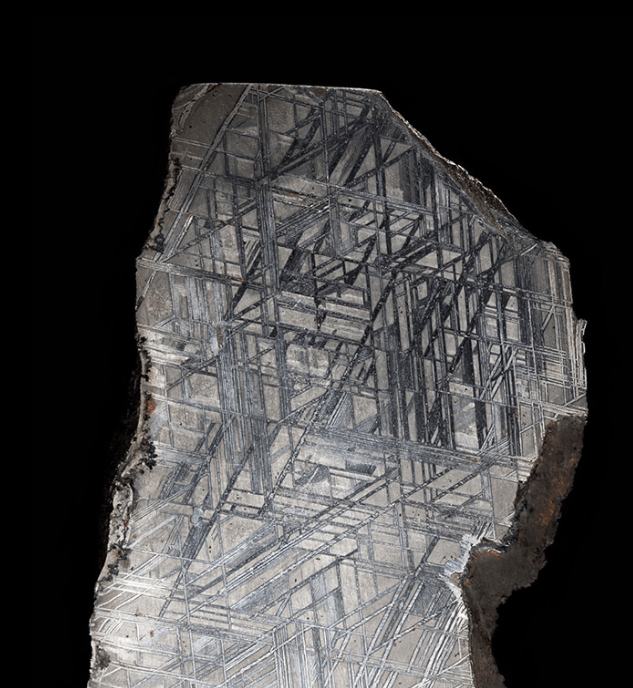 Natura facit saltus - Raumzeichen, 2017