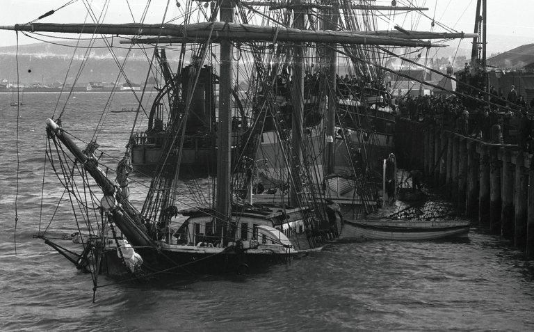 Screen Shot 2017-04-02 at 6.00.16 pm