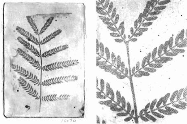 Screen Shot 2017-04-21 at 9.42.12 pm