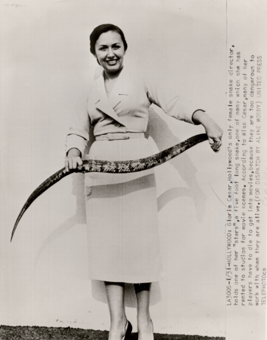 Screen Shot 2017-04-29 at 10.36.21 pm