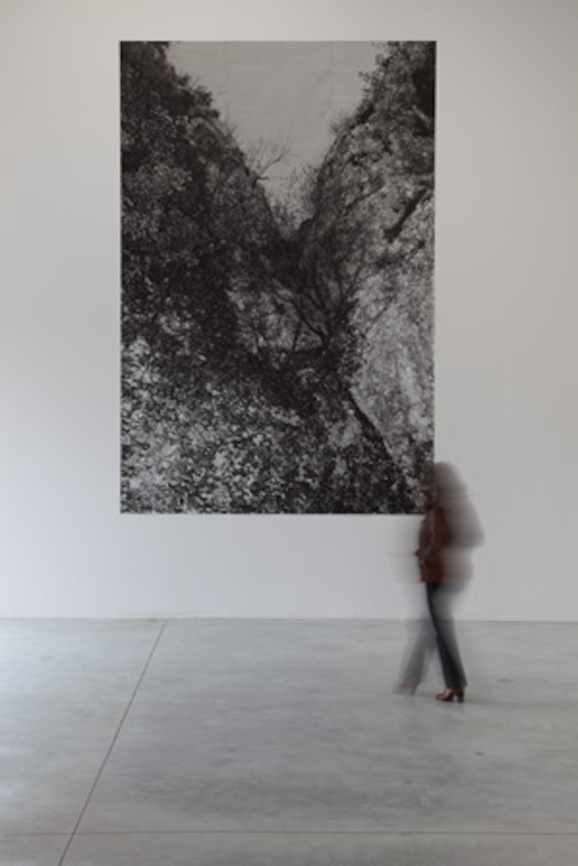 1 : 5 F.E.L.S. #1-2010