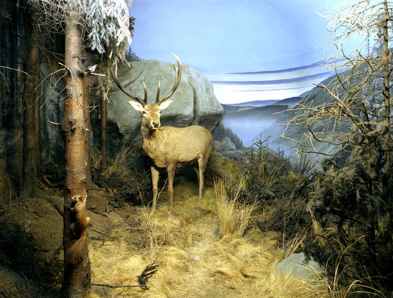 Braunschweig II, 2006 - 120 x 160 cm 06. June 2006 18. June 2006