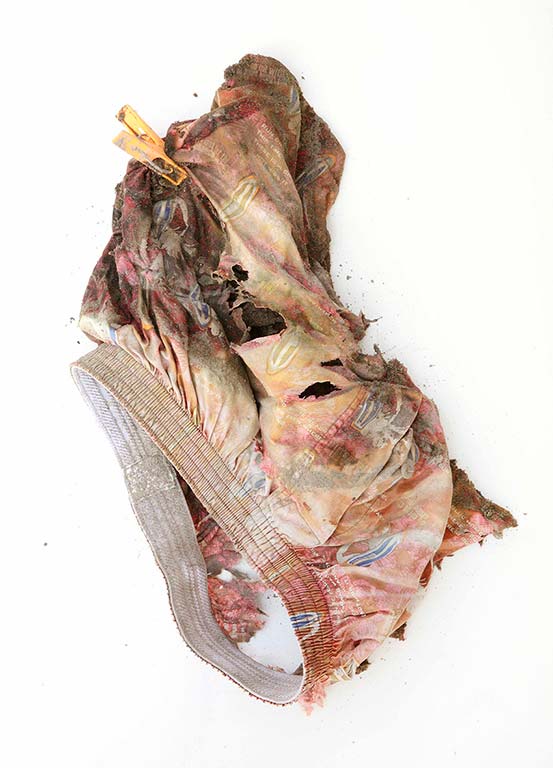 Ishinomaki_Miyagi_Tomohiro