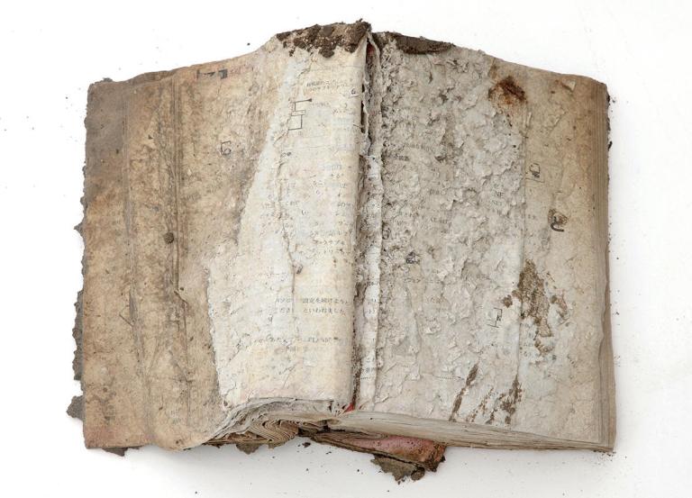 Kesennuma-Miyagi-C-MUDA-Tomohiro