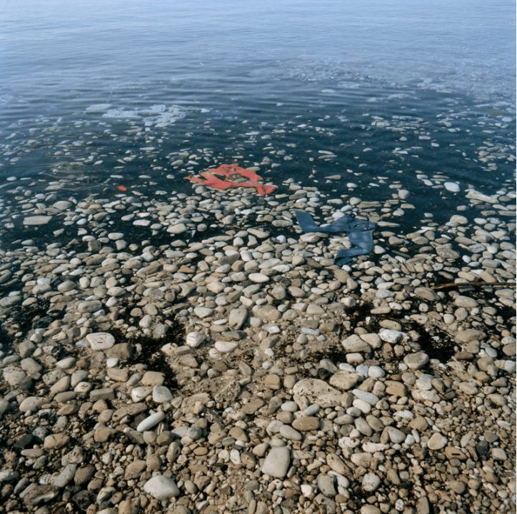 Screen Shot 2017-05-06 at 7.32.05 pm