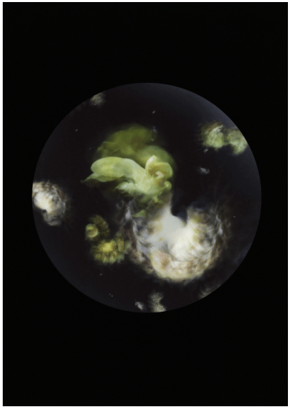 Screen Shot 2017-05-08 at 1.24.02 pm